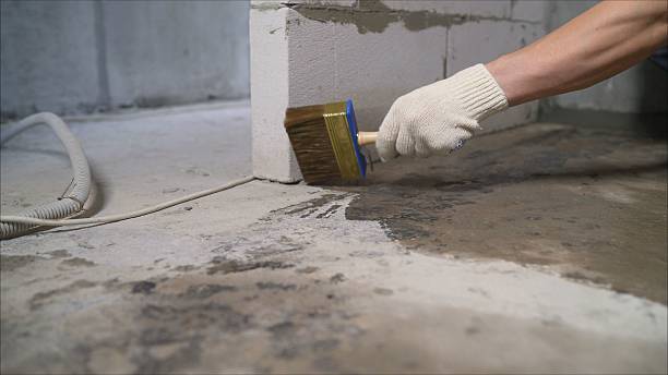 24/7 Emergency Basement Waterproofing experts in Sharps Chapel, TN